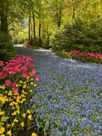 Title: Keukenhof – The Garden of Europe in Full Bloom