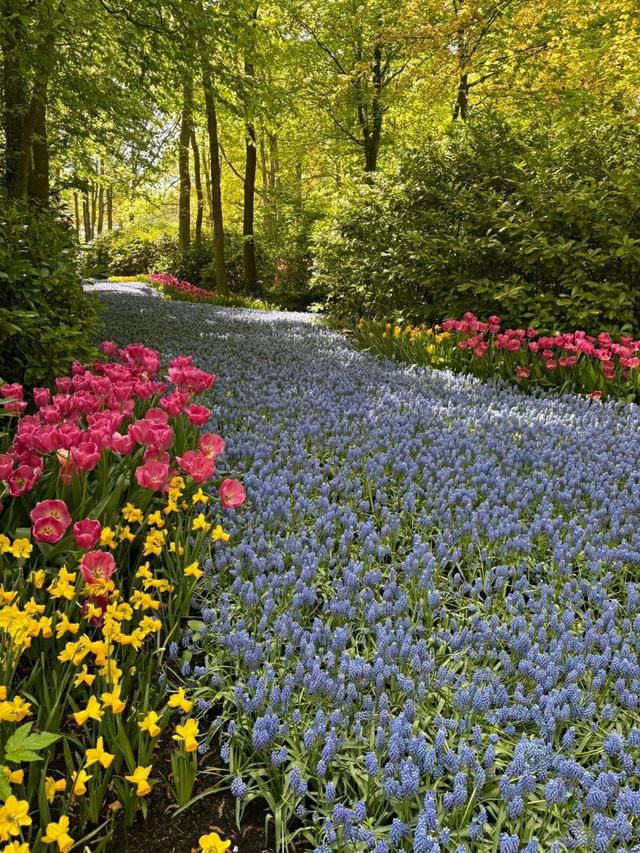 Title: Keukenhof – The Garden of Europe in Full Bloom