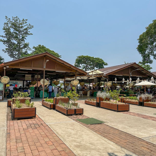 ชิม ช้อป ชิล🛍️ที่ตลาดจริงใจมาร์เก็ตเชียงใหม่