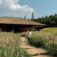 Khao Yai Art Forest