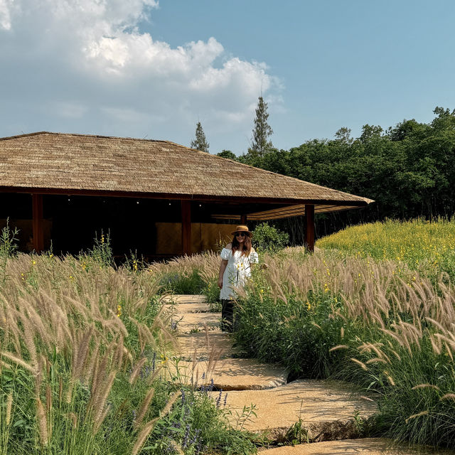 Khao Yai Art Forest