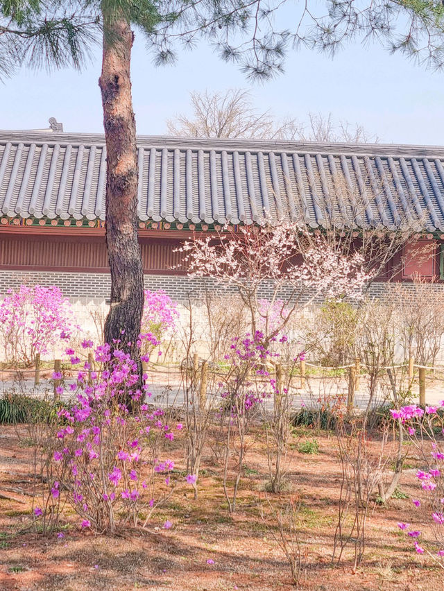 💕청덕궁 가족과 함께 거닐기 좋은 곳 🌲