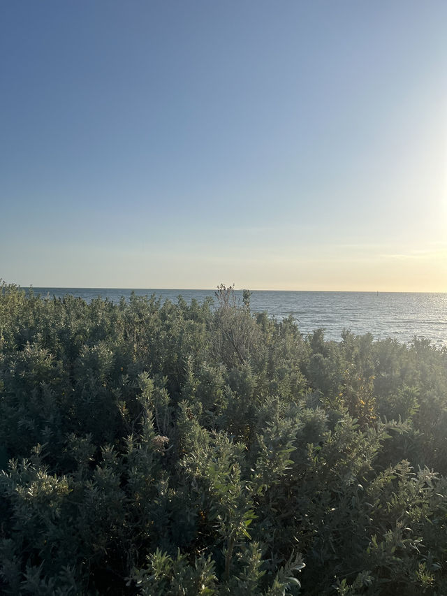 Point Ormond – A Seaside Escape in Melbourne 🌅