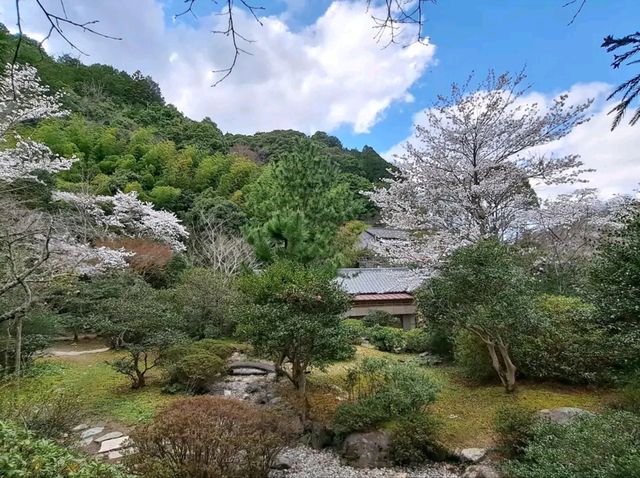 Title: Discovering Amami Ōshima: Japan’s Hidden Island Paradise