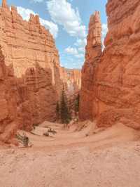 Dare to Climb: Conquering Angels Landing in Zion