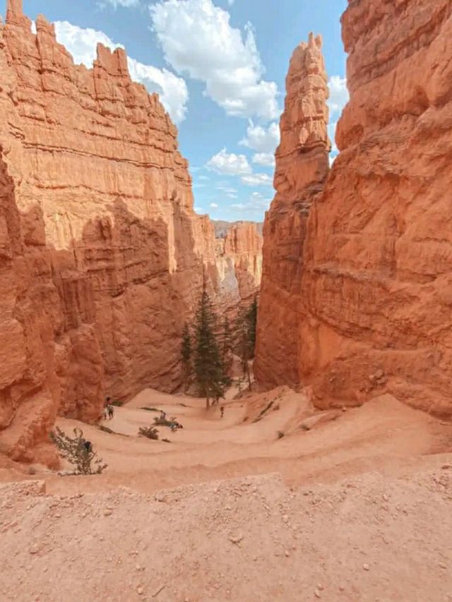 Dare to Climb: Conquering Angels Landing in Zion
