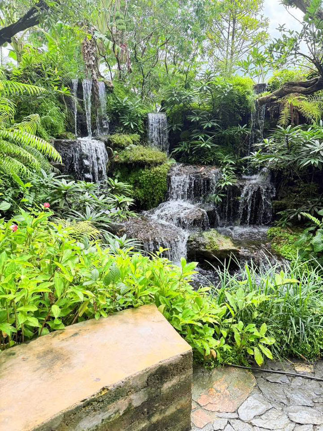 Hidden in the heart of nature—Aomkod Caf