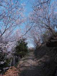 東海道新幹線：大阪去福島只需四小時