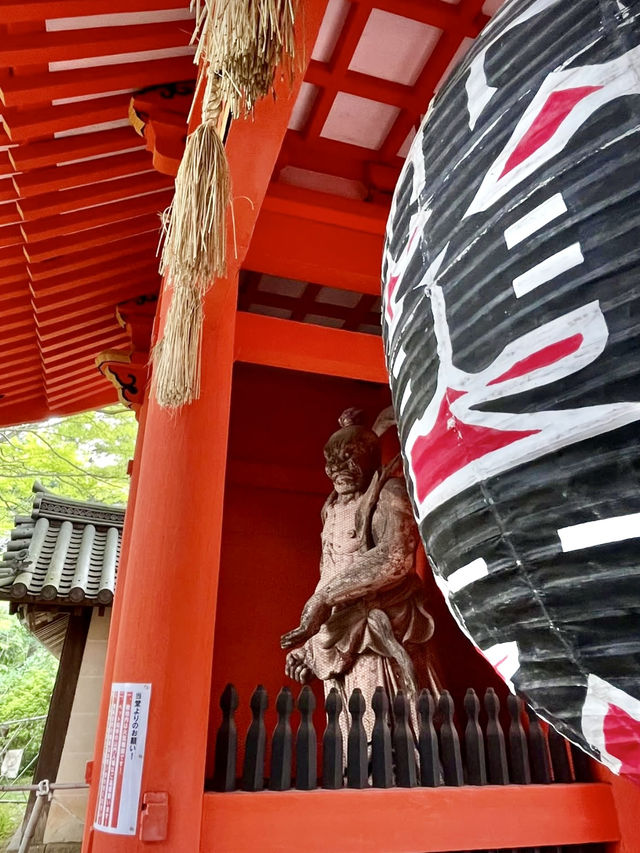 A Gentle Day in Yamashina – Temples, Trails & Tea
