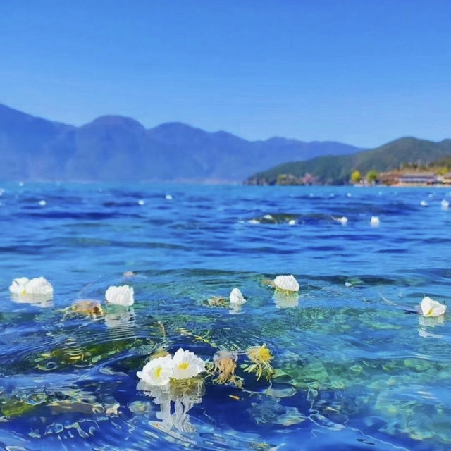 📍瀘沽湖已回，端午想去的朋友們可以參考