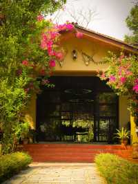 Premium accommodation in Chitwan 
