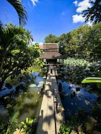 เที่ยววัดหน้าฝน: ประสบการณ์ที่แตกต่าง