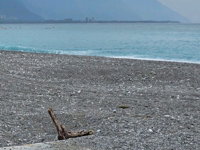 端午節的海風約會：七星潭與曼波魚的夏日記憶