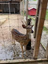 Batam Zoo Paradise