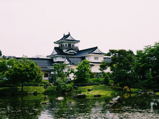富山城跡的歷史之旅 🏰🌳