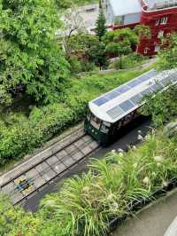 端午之旅！🌃香港太平山一日攻略｜俯瞰維港、網紅纜車