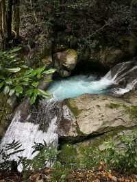 Spring’s Waterfall Wonderland