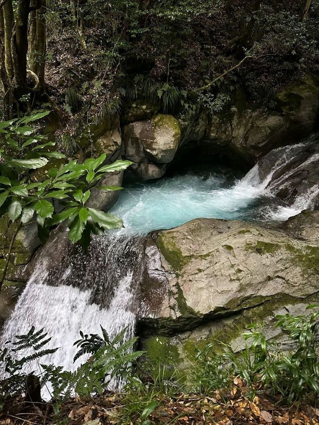 Spring’s Waterfall Wonderland