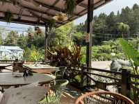 🍋 Cameron Highland Lemon Button — A Cozy Halal Restaurant in Malaysia’s Cameron Highlands