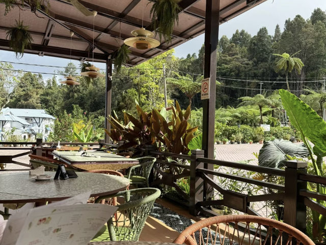 🍋 Cameron Highland Lemon Button — A Cozy Halal Restaurant in Malaysia’s Cameron Highlands