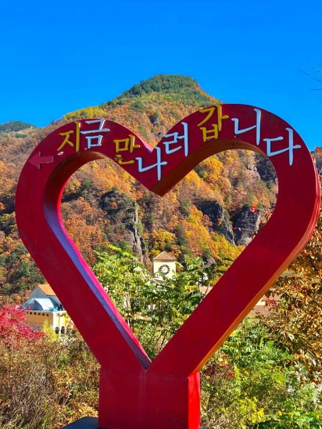 삼척가을단풍뷰관광지🍁하이원추추파크