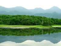 【北海道】世界遺産の森で知床の自然を堪能「知床五湖」