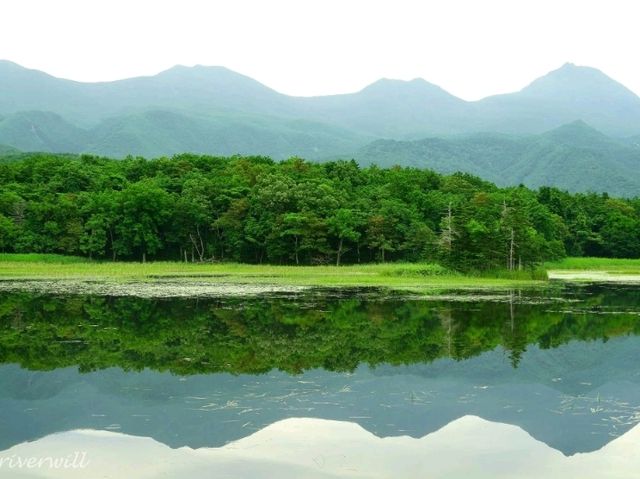 【北海道】世界遺産の森で知床の自然を堪能「知床五湖」