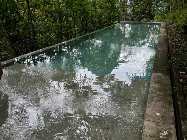 🌿 2D1N Nature Recharge | RM130 per person Only!