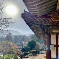 유네스코 고대사찰을 한국의 소도시 순천에서 느껴보세요 - 선암사