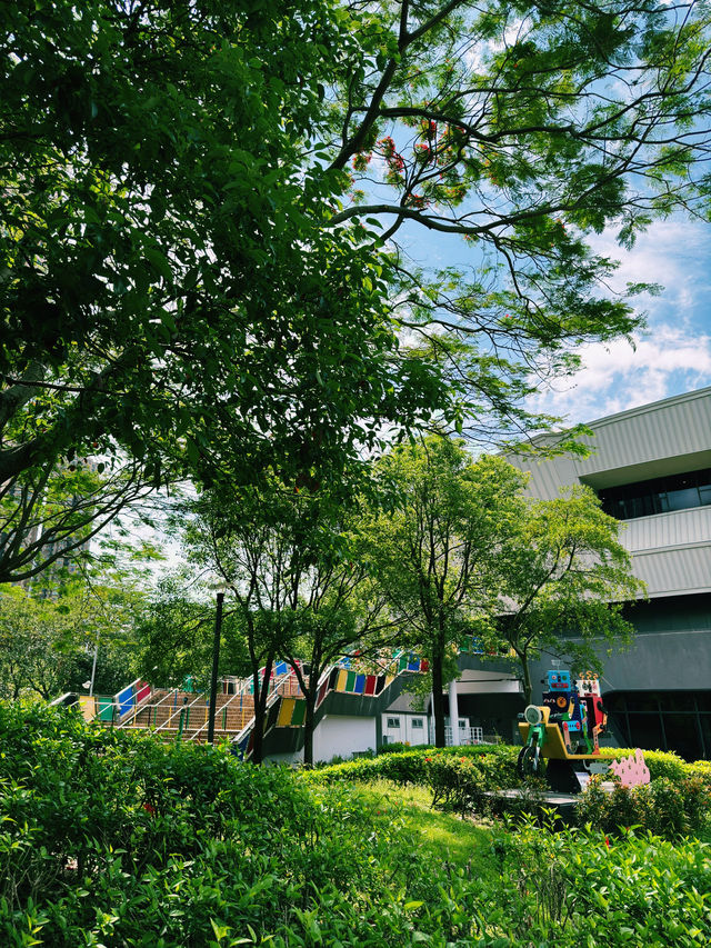 端午節漫遊指南｜香港單車館公園的節日魅力