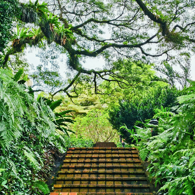 探秘新加坡福康寧公園，邂逅別樣風情🌳