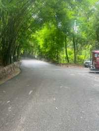 วัดผาลาดวัดสวยกลางป่าท่ามกลางธรรมชาติ เชิงดอยสุเทพ