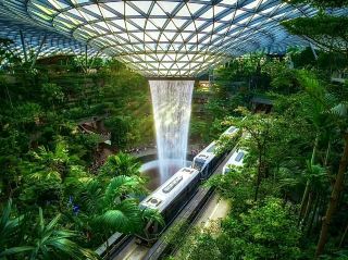✨🌼 Singapore Travel Review: 4 Days 3 Nights ✨🌼
