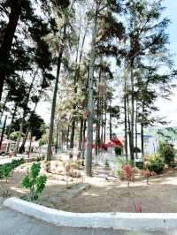 Pesanggrahan Bung Karno: A Hidden Gem Overlooking Lake Toba