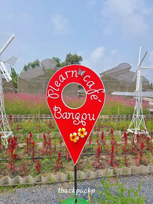 ส้มตำหลังสวน บางปู ร้านสำหรับครอบครัว อร่อยเลย🌱