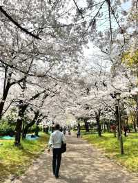 โอซาก้า🇯🇵