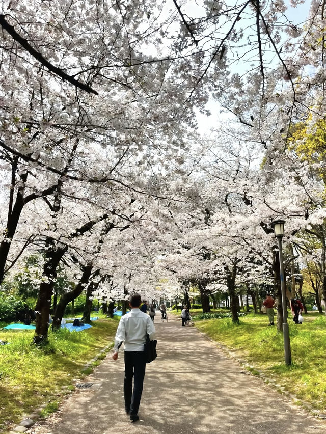 โอซาก้า🇯🇵