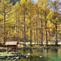 Saas-Fee: A Car-Free Alpine Paradise of Glaciers, Peaks & Swiss Charm