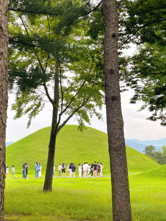 한국스러운 국내여행, 경주 여행지 10곳 모아봄 🇰🇷🥢 