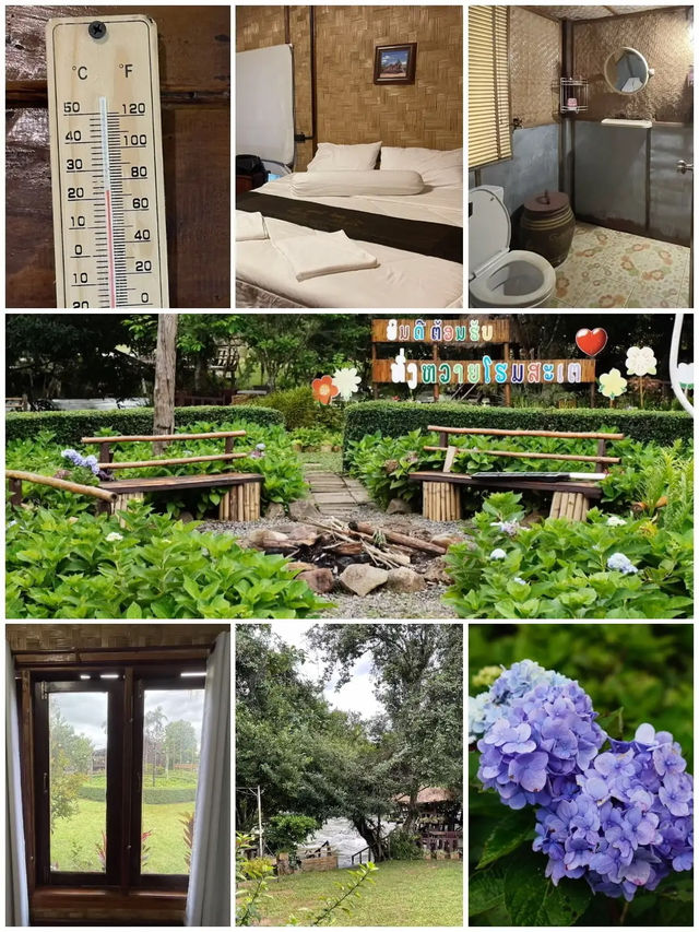 เยือนทุ่งหวาย @ลาวใต้ 2 วัน 1 คืน