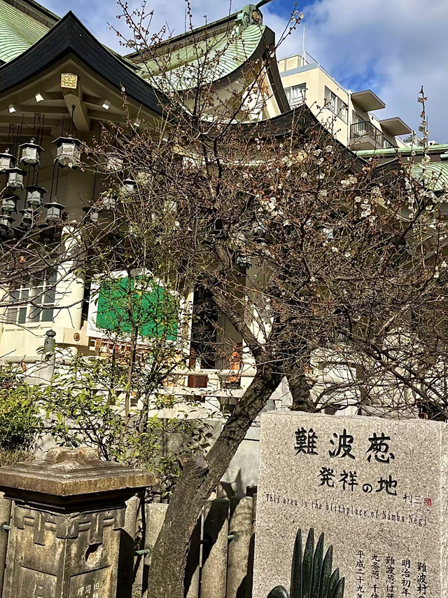โอซาก้า🇯🇵
