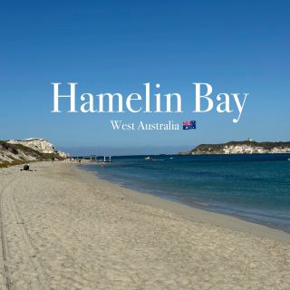 Western Australia Road Trip: Hamelin Bay & Margaret River Chocolate Co.! 🍫🌊
