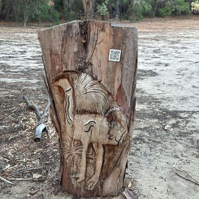Western Australia, Perth - Mandurah: Discovering One of the Six Giants! 🚶‍♀️🌲
