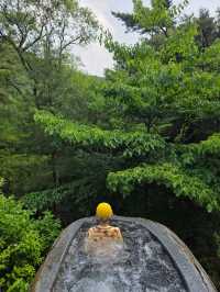 완벽한 휴식, 해브나인 힐링스파🌲💦