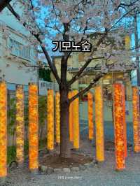 아라시야마 기모노 숲, 인생샷 명소!🎎