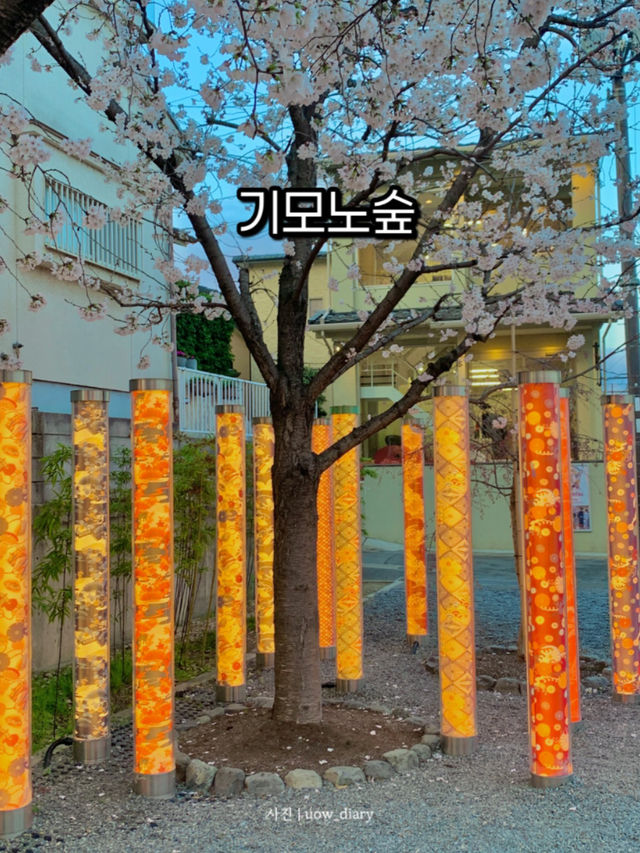 아라시야마 기모노 숲, 인생샷 명소!🎎