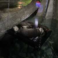 Aquarium Phuket 