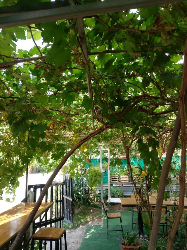 บ้านองุ่น Coffee