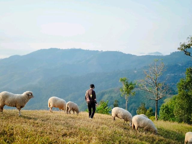 เที่ยวดอยช้าง AKHA FARMVILLE อาข่า ฟาร์มวิลล์