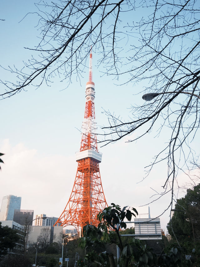 東京鐵塔一日散策：浪漫與懷舊交織的東京地標之旅